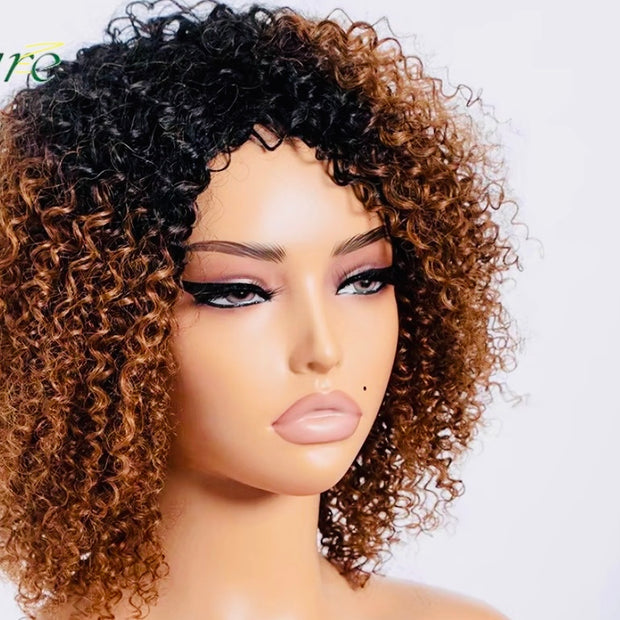 Perruques Bouclées Afro Kinky Courtes pour Femmes - Cheveux Humains Noirs